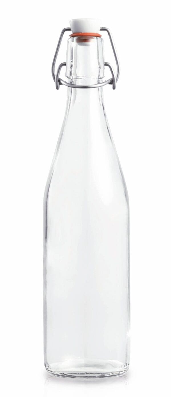 LE PARFAIT - Bouteille à fermeture à cliquet