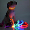 LED Dog Collar – Safety Adjustable Nylon Leopard Print Pet Collar | S M L XL