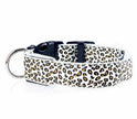 LED Dog Collar – Safety Adjustable Nylon Leopard Print Pet Collar | S M L XL