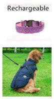 LED Dog Collar – Safety Adjustable Nylon Leopard Print Pet Collar | S M L XL