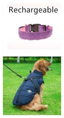 LED Dog Collar – Safety Adjustable Nylon Leopard Print Pet Collar | S M L XL