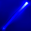 Laisse lumineuse