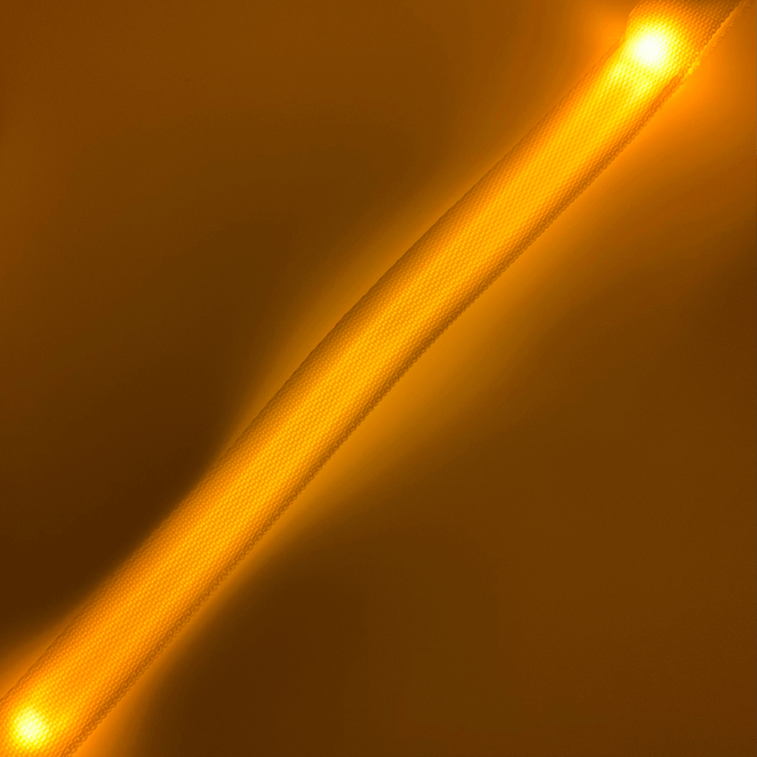 Laisse lumineuse
