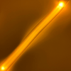 Laisse lumineuse