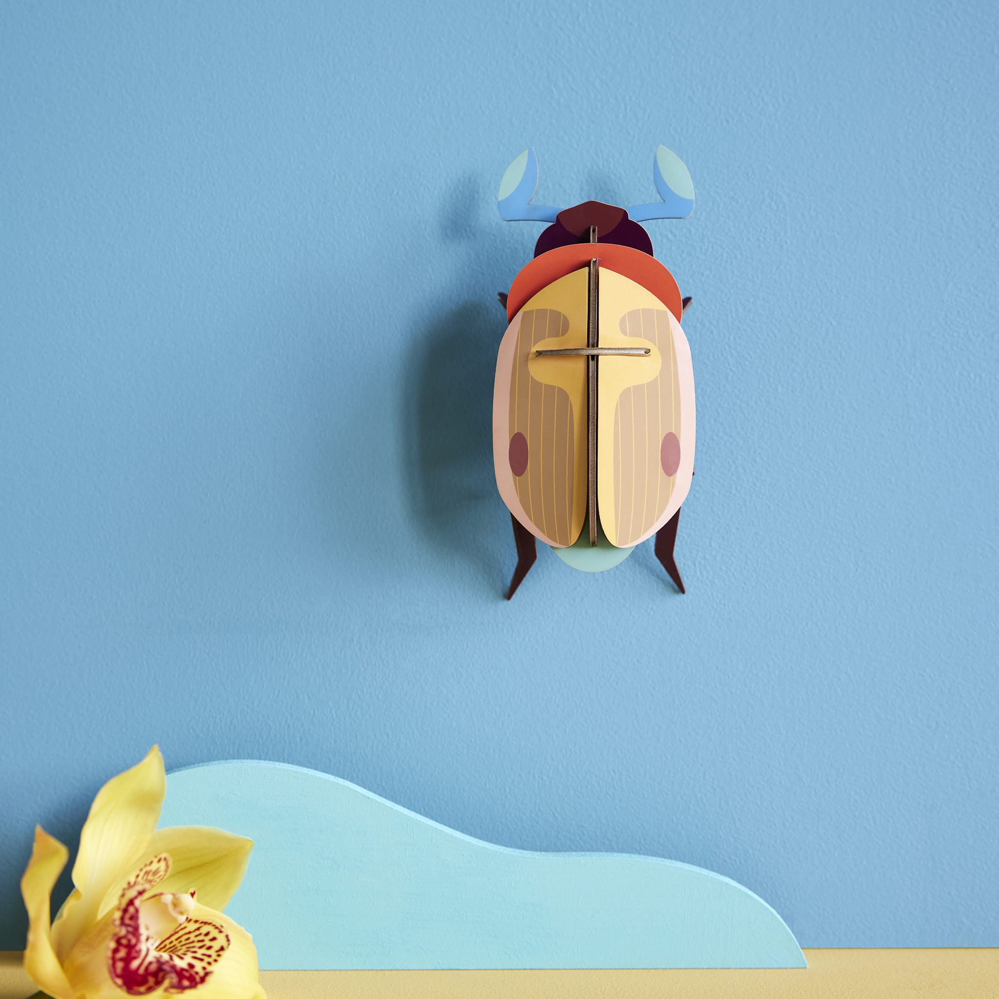 Lemon Fruit Beetle