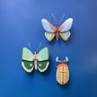 Lemon Fruit Beetle