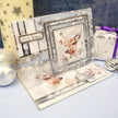 Frosted Dreams Luxury Foiled Acetate