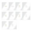 Luxury Festive Foiled Acetate Sentiment Sheets