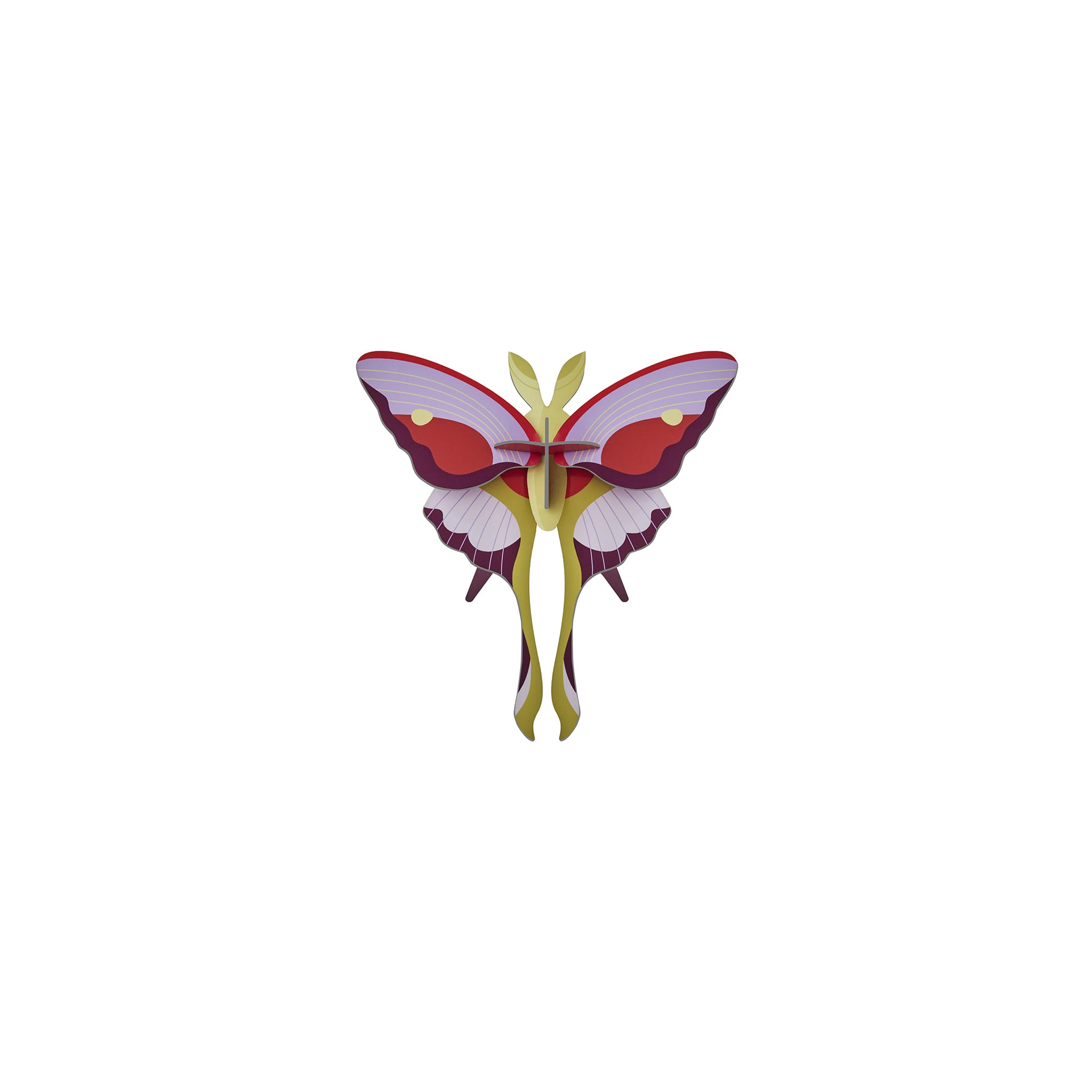 Lilac Comet Butterfly