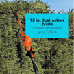BLACK+DECKER LPHT120 20V Max Lithium Ion Pole Hedge Trimmer - Refurbished with Full Manufacturer Warranty