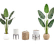 Luca Artificial Bird Of Paradise Potted Plant (Multiple Sizes)