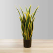 Luis Artificial Snake Sansevieria Yellow & Green Potted Plant 26