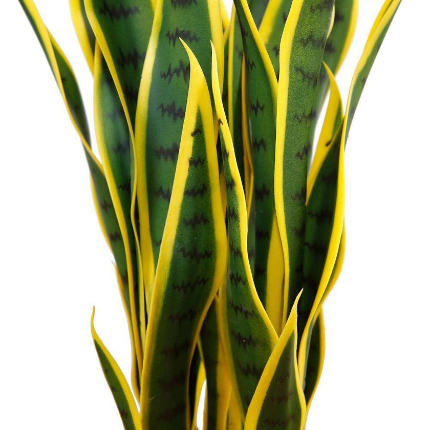 Luis Artificial Snake Sansevieria Yellow & Green Potted Plant 26