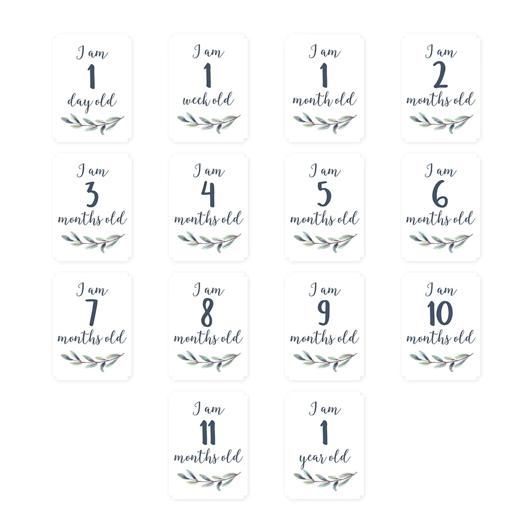 LULUJO Baby's 1st Year Milestone Blanket