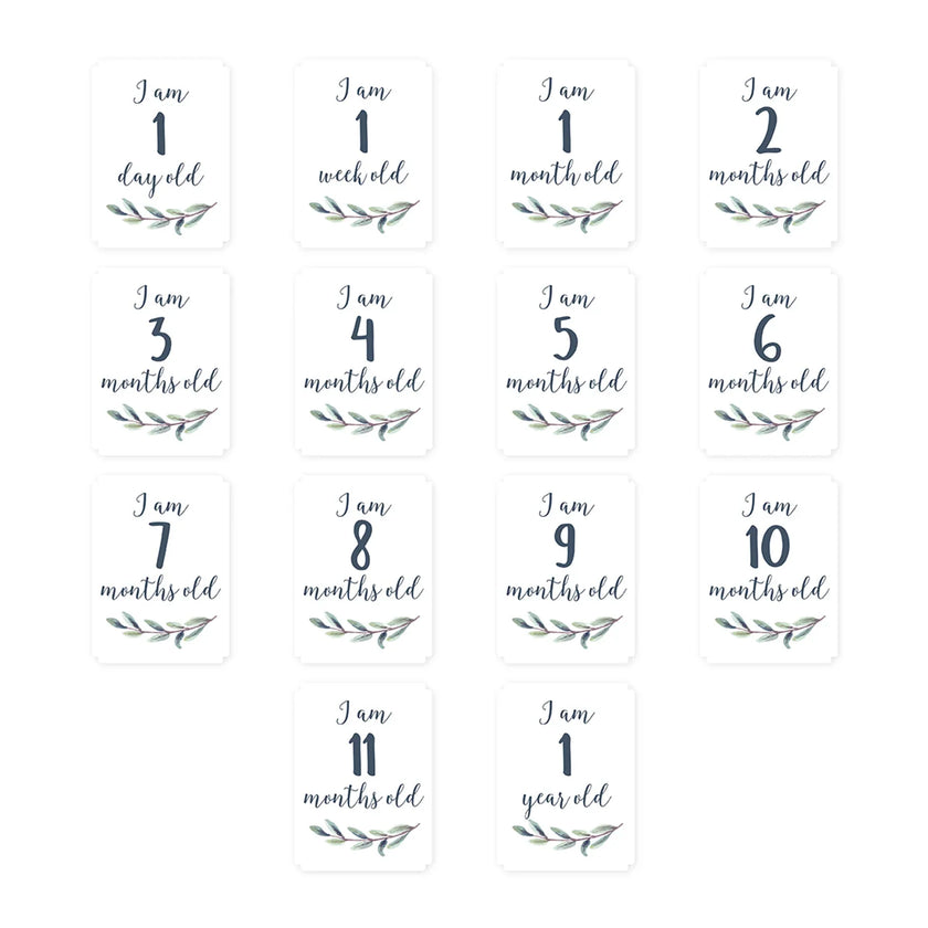 LULUJO Baby's 1st Year Milestone Blanket