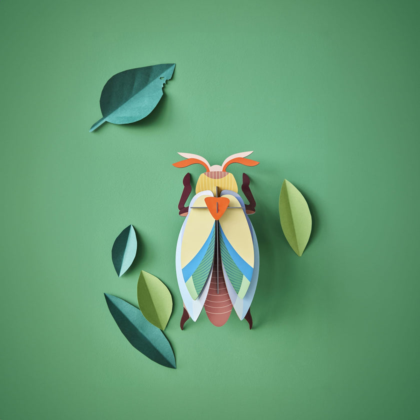 Lunar Jewel Beetle