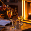 La Rochere - Lyonnais Wine Glass Clear
