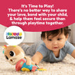 Lamaze - ARTY SAYS CHEESE