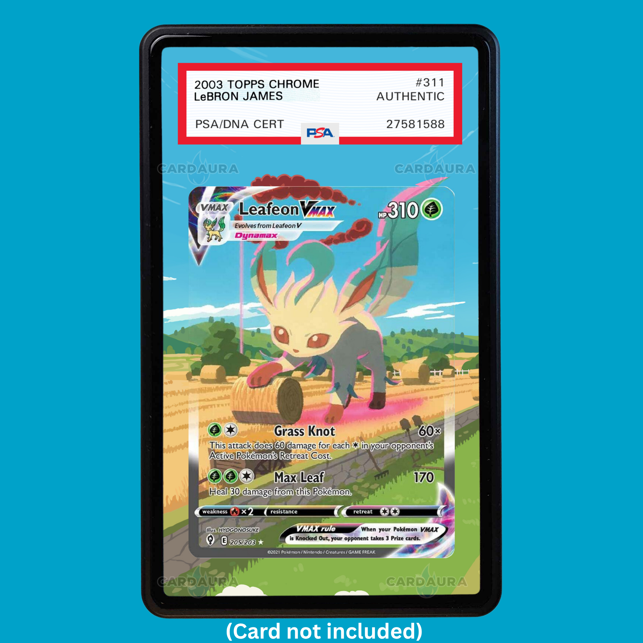 Leafeon VMAX 205/203 Evolving Skies (Graded) Display Case