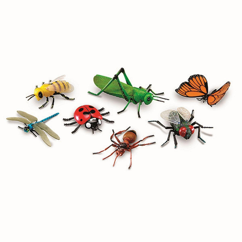 Learning Resources - Jumboinsects