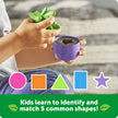Learning Resources - Shape & Colour Garden