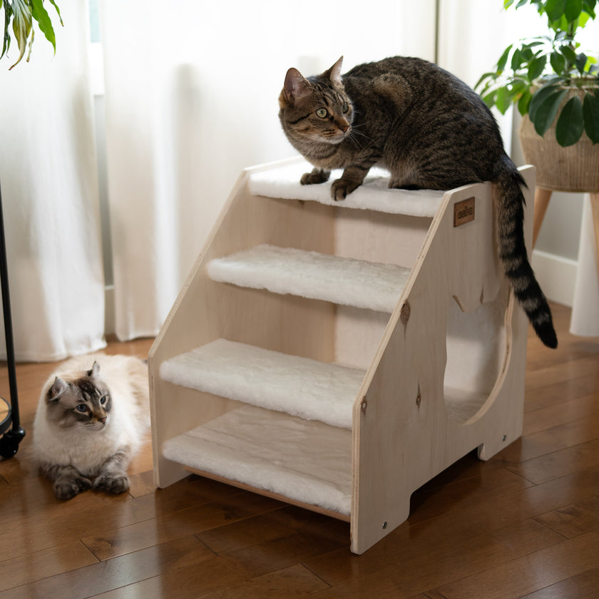 The Stairs Hideout