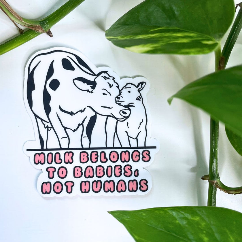 Milk Belongs to Babies, Not Humans - Vegan Sticker