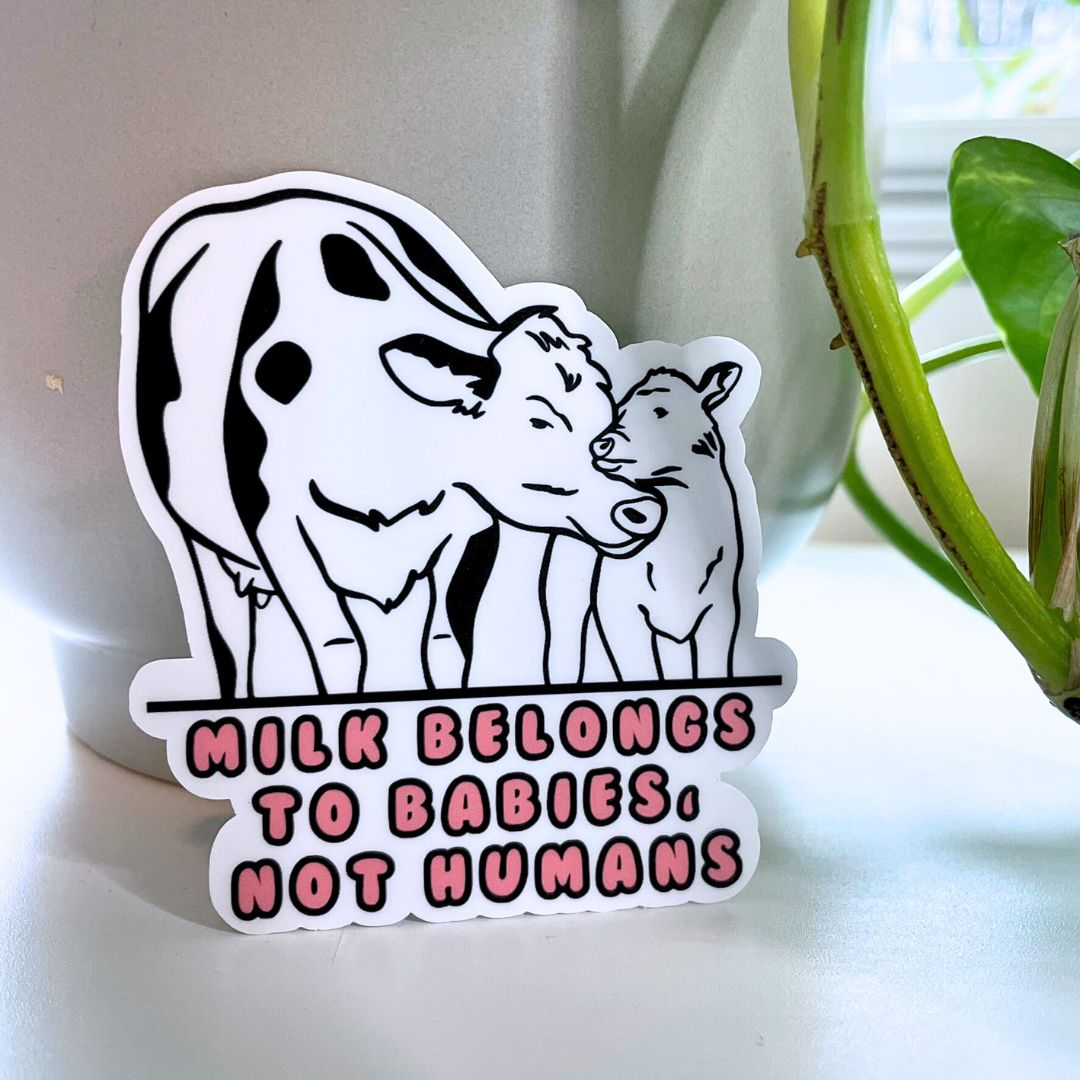 Milk Belongs to Babies, Not Humans - Vegan Sticker