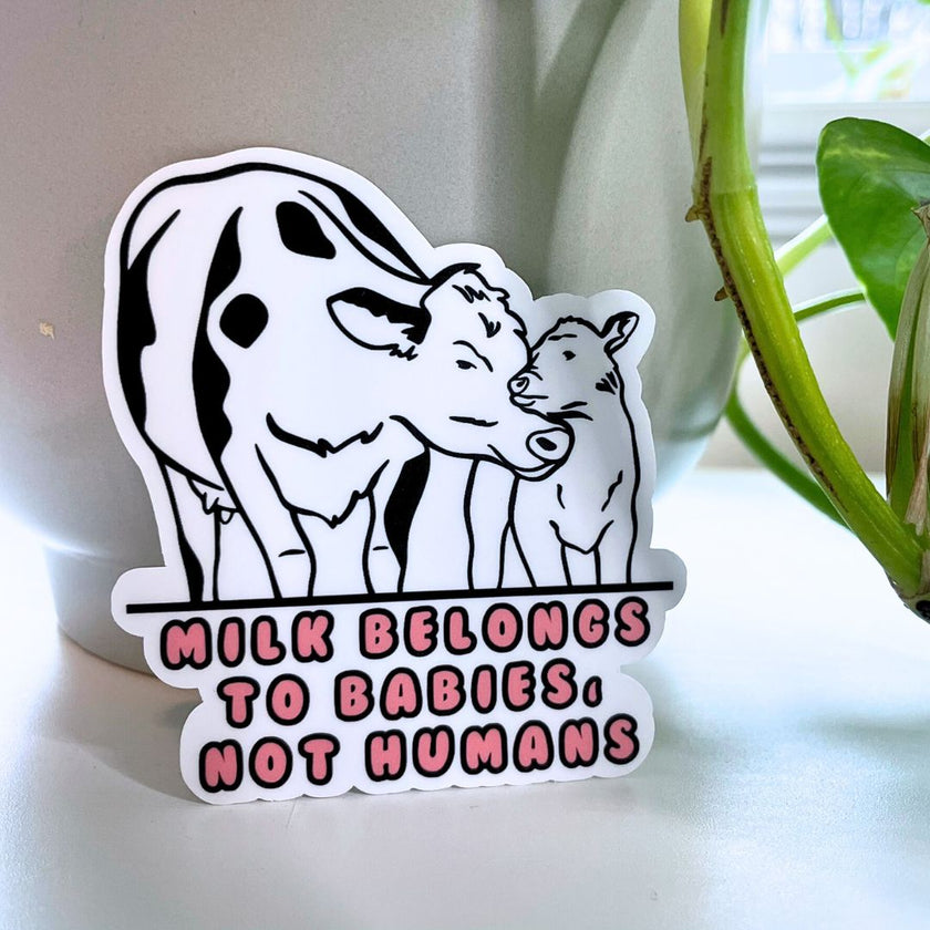 Milk Belongs to Babies, Not Humans - Vegan Sticker