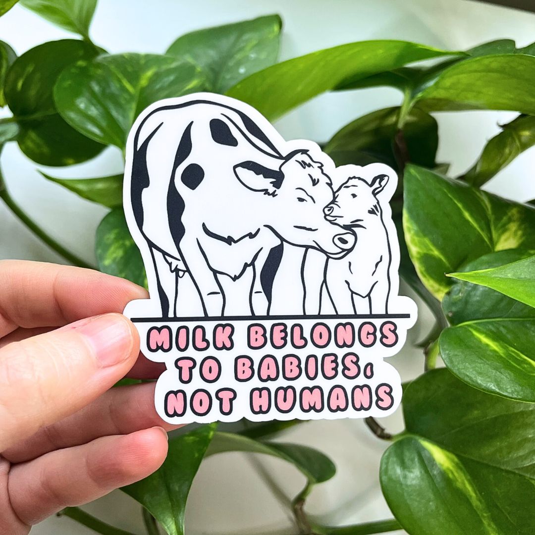 Milk Belongs to Babies, Not Humans - Vegan Sticker