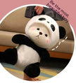Little Bear Doll Transformation Giant Panda Teddy Plush Toy