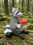 Raccoon