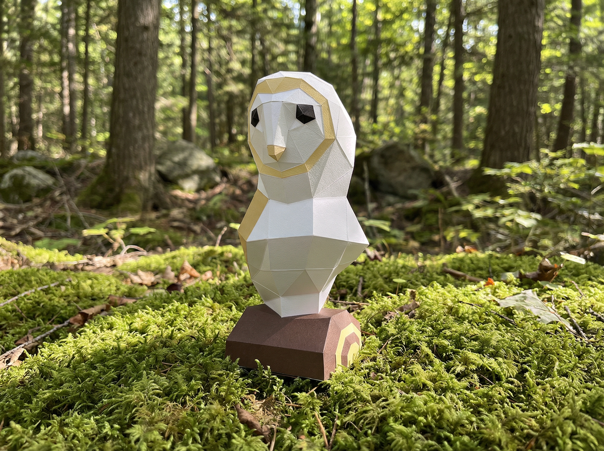 Barn owl