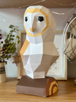 Barn owl
