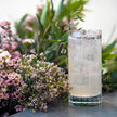 Luigi Bormioli - Bach Highball Glasses (Set of 4)