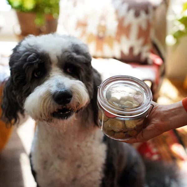 Luigi Bormioli - Lock Eat - 17 oz Food Jar XL