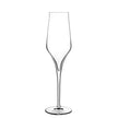 Luigi Bormioli - Supremo - 8 oz Champagne Glasses (Set Of 2)