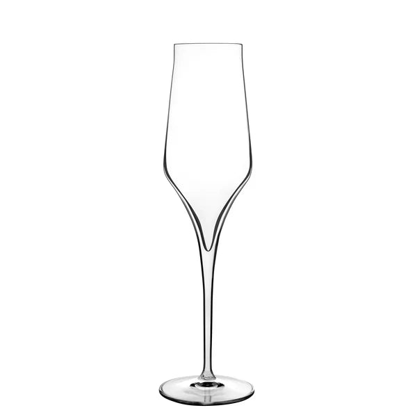 Luigi Bormioli - Supremo - 8 oz Champagne Glasses (Set Of 2)