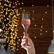 Luigi Bormioli - Supremo - 8 oz Champagne Glasses (Set Of 2)