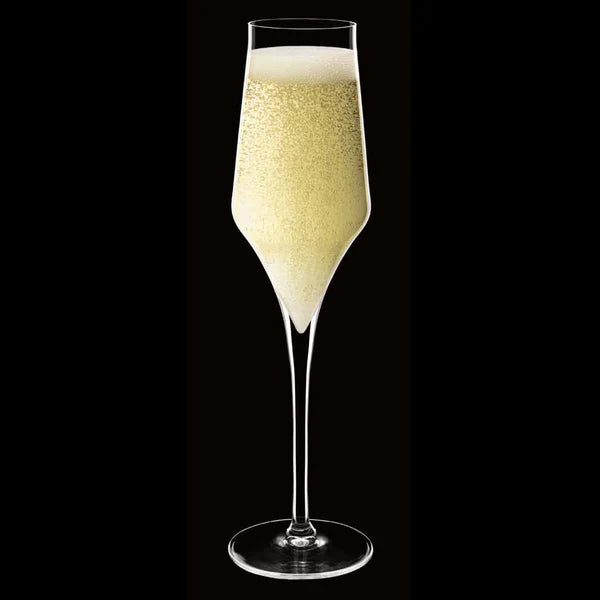 Luigi Bormioli - Supremo - 8 oz Champagne Glasses (Set Of 2)