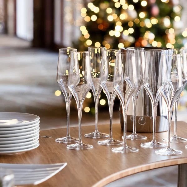 Luigi Bormioli - Supremo - 8 oz Champagne Glasses (Set Of 2)