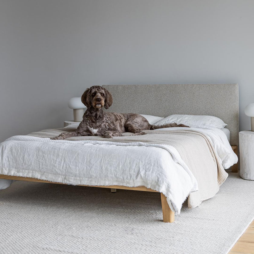 Luna Tool Free Upholstered Queen Bed - Beige