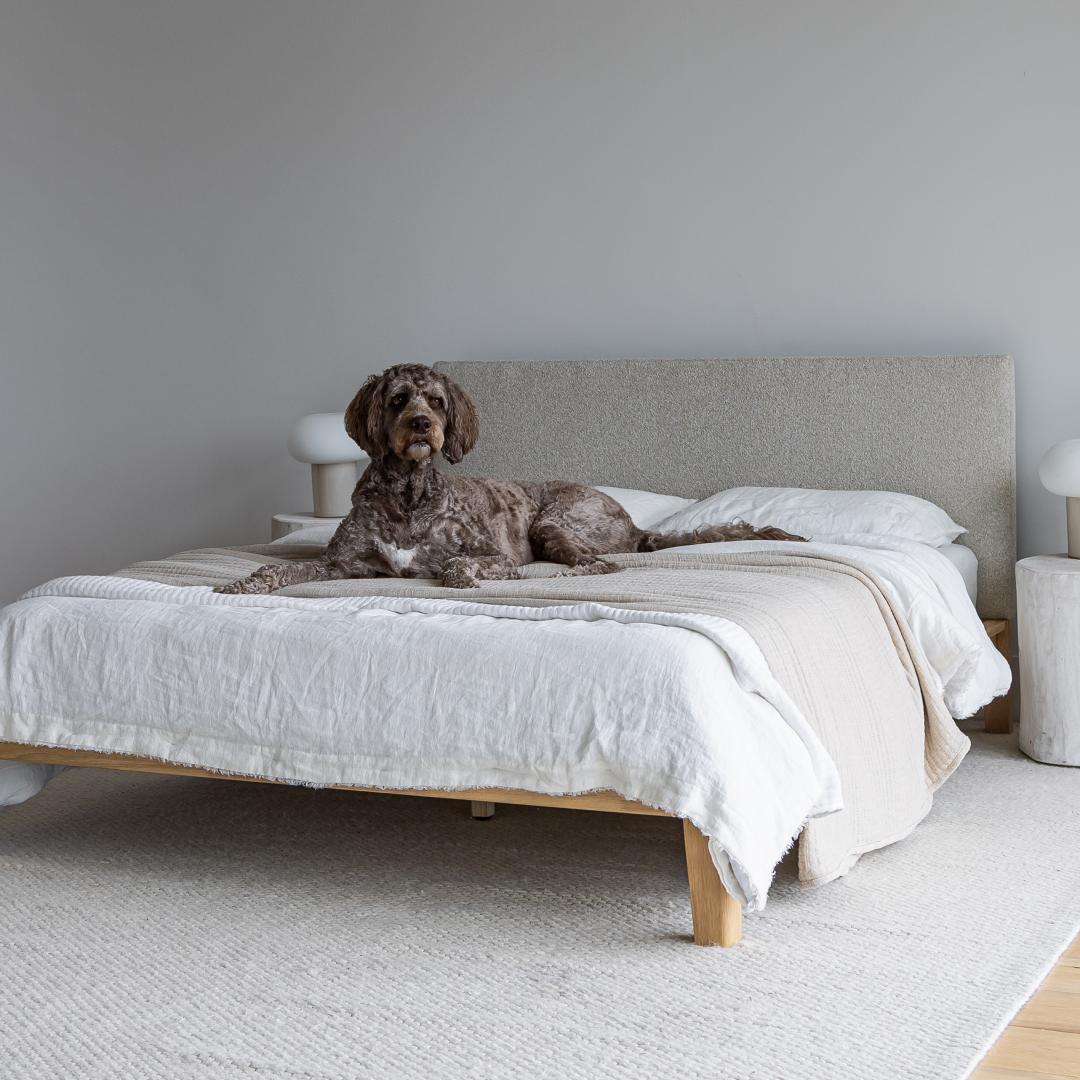 Luna Tool Free Upholstered King Bed - Beige