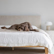 Luna Tool Free Upholstered King Bed - Beige