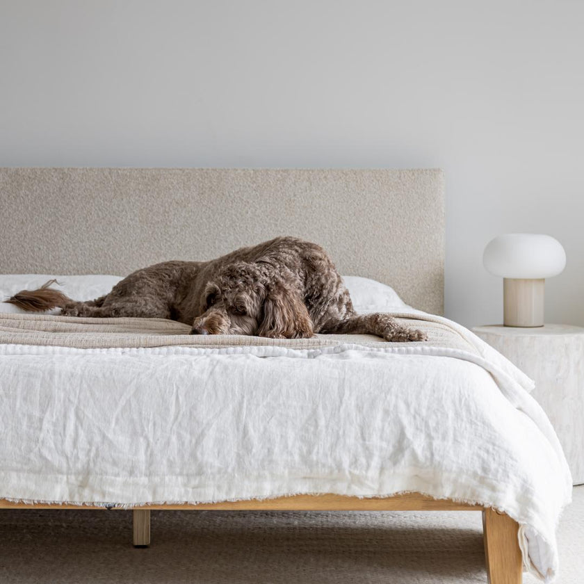 Luna Tool Free Upholstered King Bed - Beige