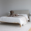 Luna Tool Free Upholstered Double Bed - Beige