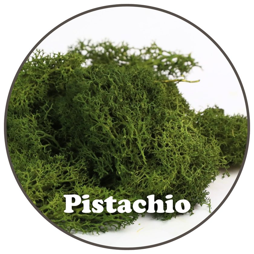 Premium Reindeer Moss Bag