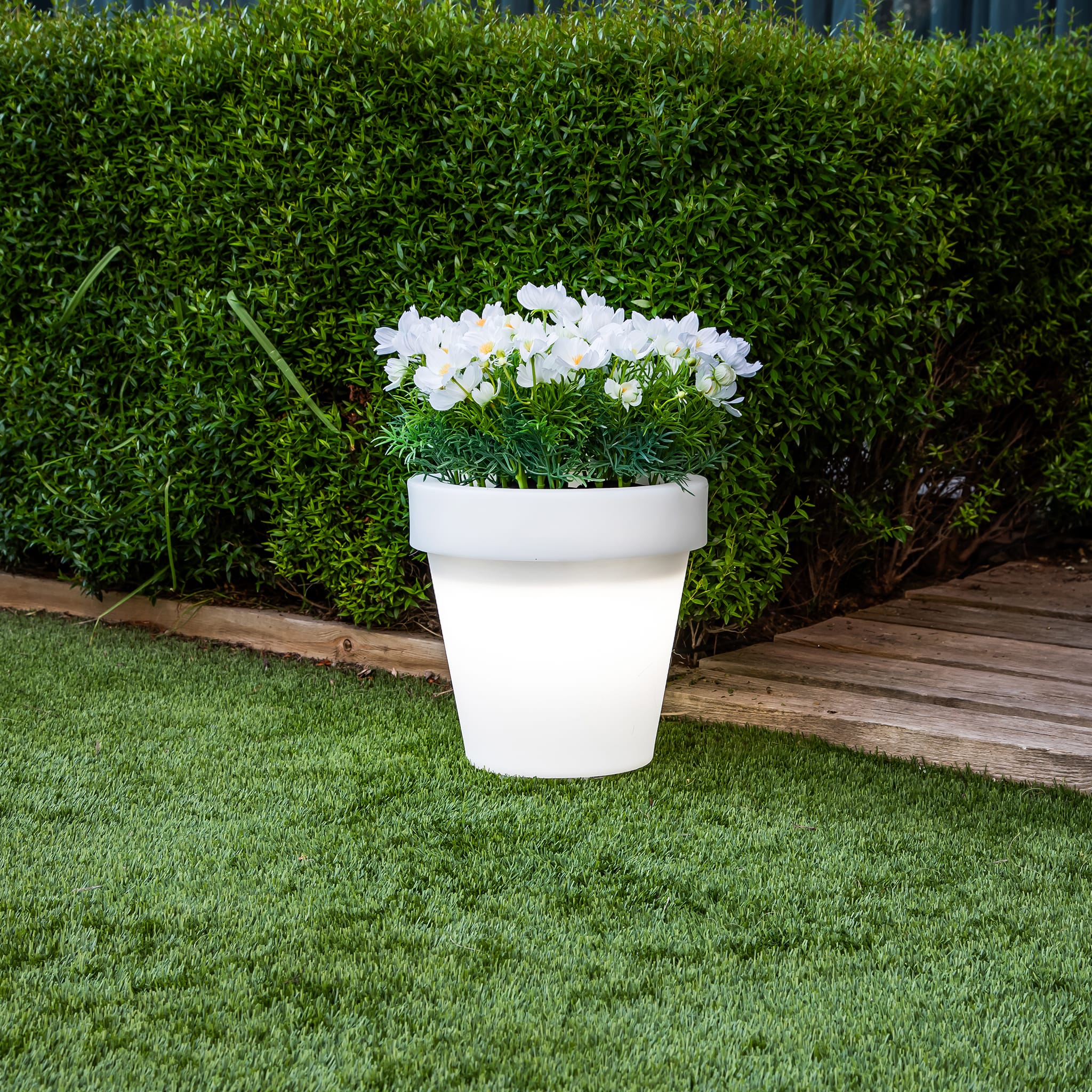 Magnolia<br> Solar & Rechargeable