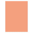 Matt-tastic Adorable Scorable A4 Cardstock x 10 Sheets