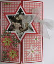 Nellie's Choice - Magic Card Die - Star